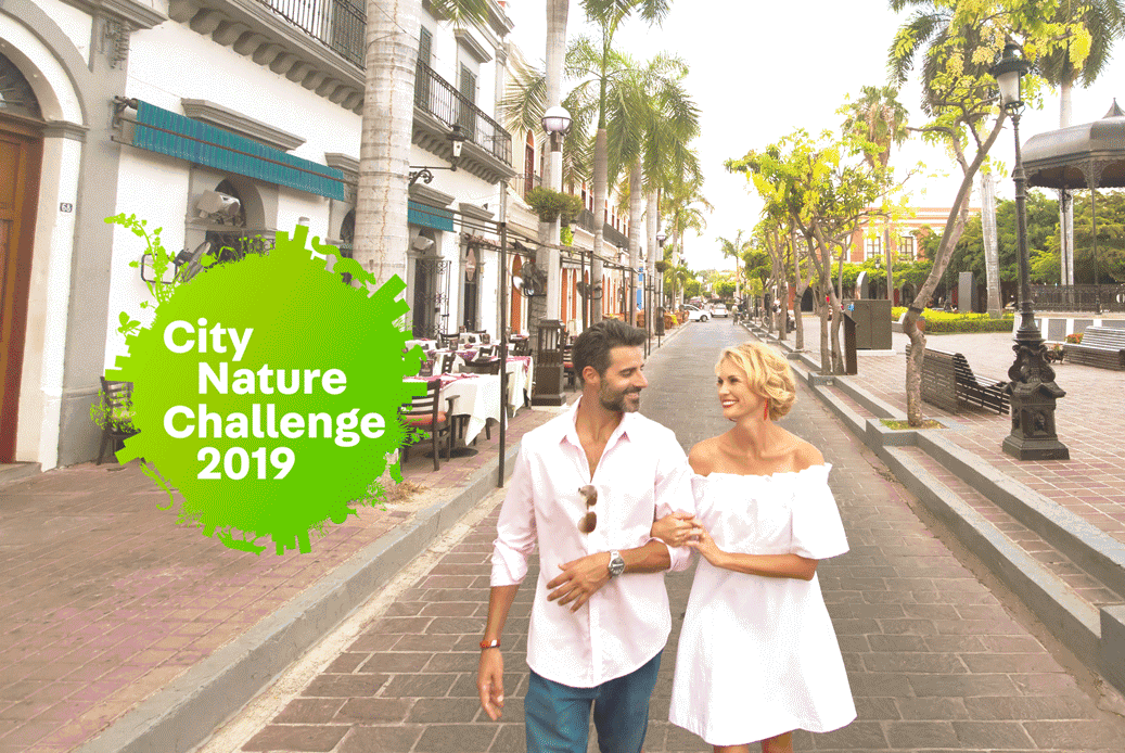 Mazatlán - Reto Naturalista Urbano 2019