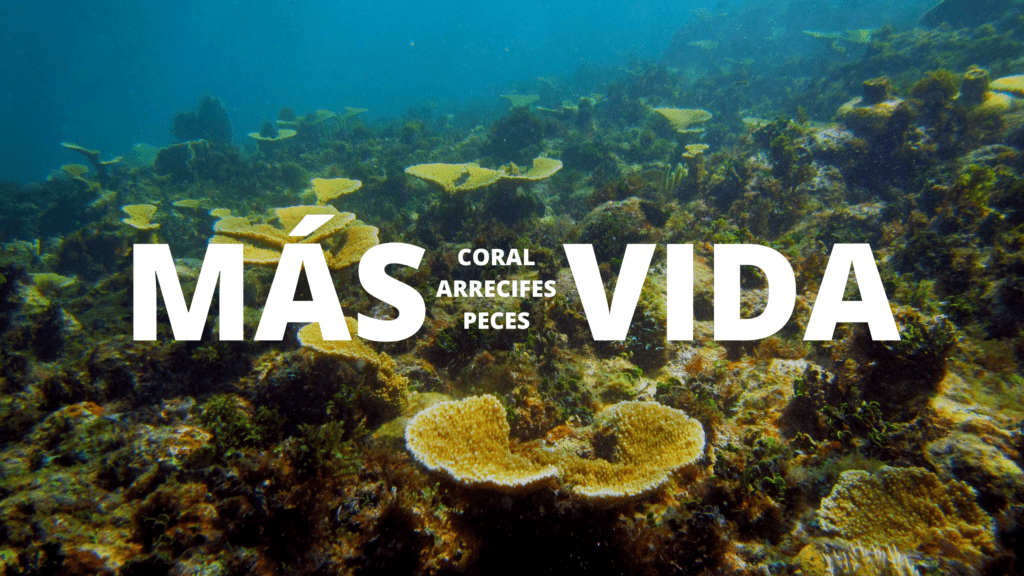 BANNER FOR OCEANUS ESP