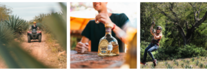 Tours Sabores de Sinaloa